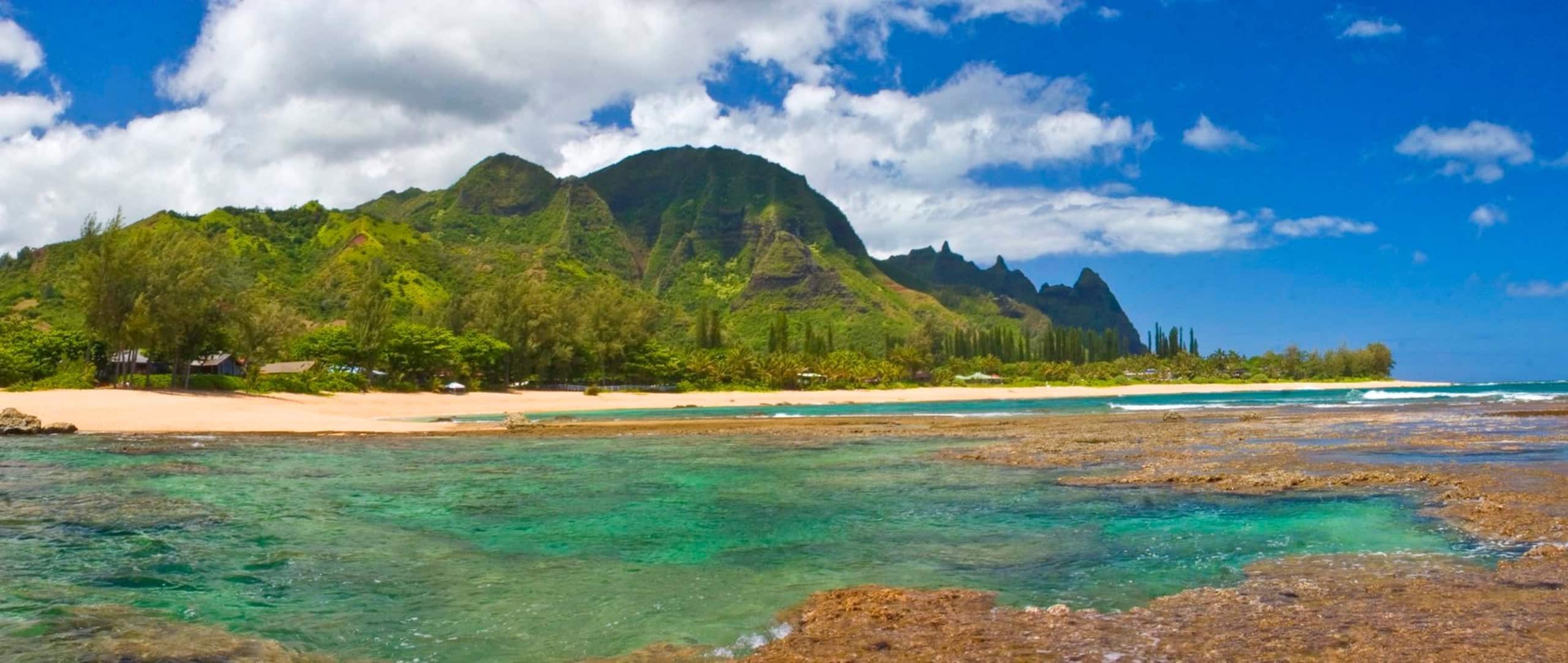 Home in Hanalei · ★4.97 · 3 bedrooms · 5 beds · 3 baths - Image 69