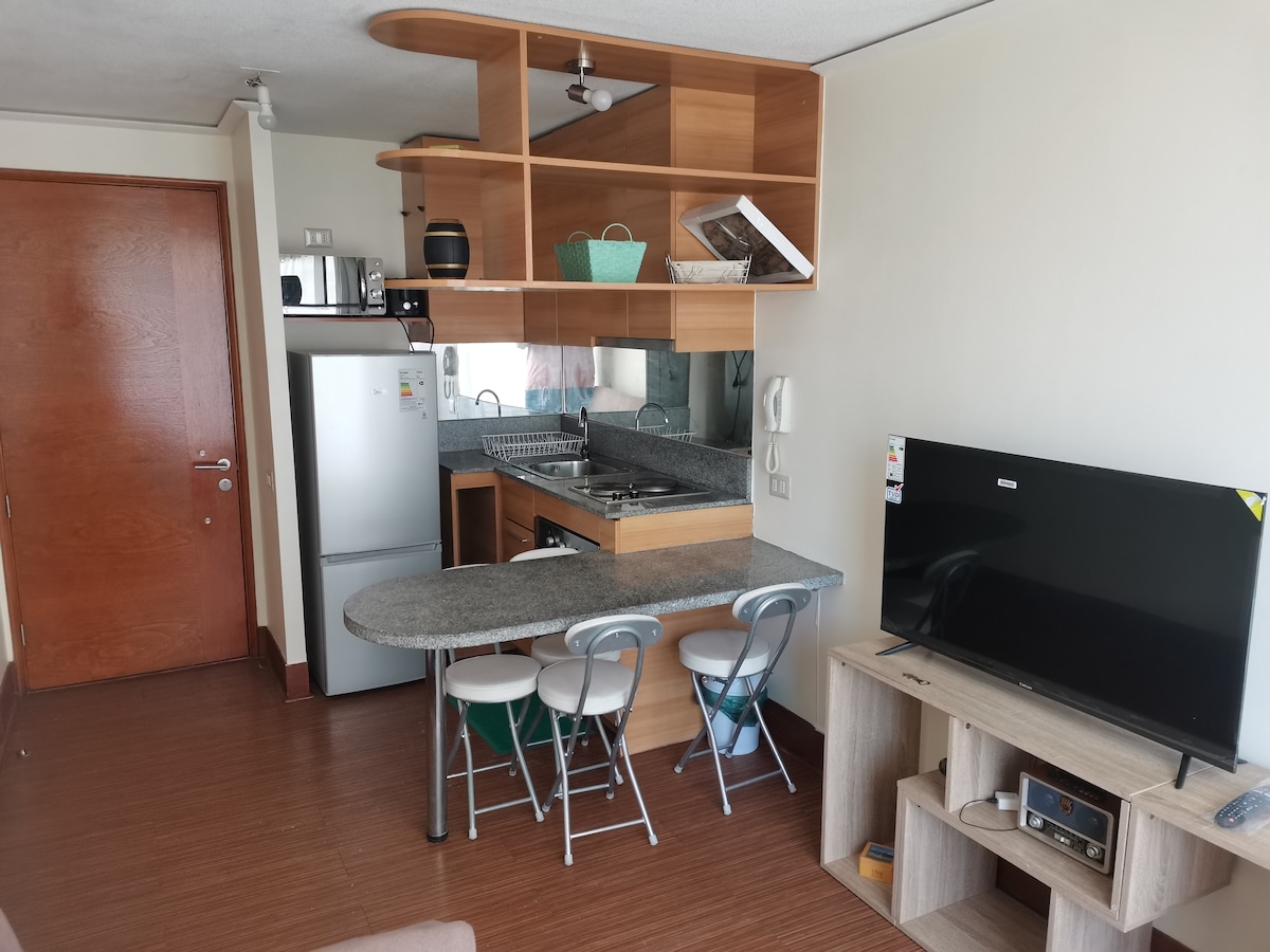 The open-plan living area features a compact kitchen with modern appliances and a breakfast bar. Two metal chairs are positioned at the bar. A refrigerator is visible, along with a mounted television in the seating area, providing a functional living space.