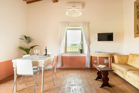 Top Airbnb: Authentic Italian Apartment with Private Terrace in Sovicille