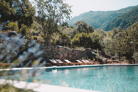 Marengo suite-apartment in the heart of the maquis / Gulf of Porto