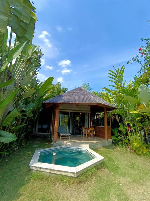 Suite Room