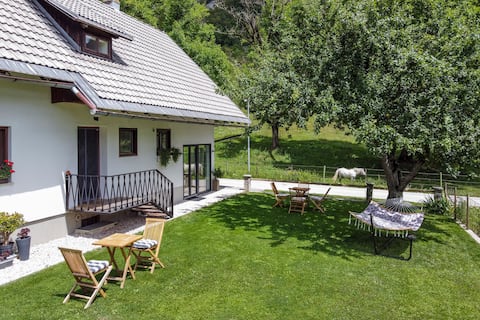 House at Lake Bohinj
