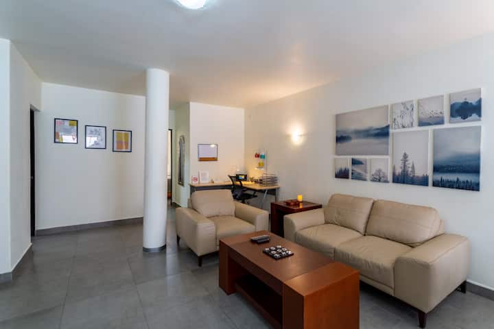 Roma Sur Spacious Apartment - Mexico City