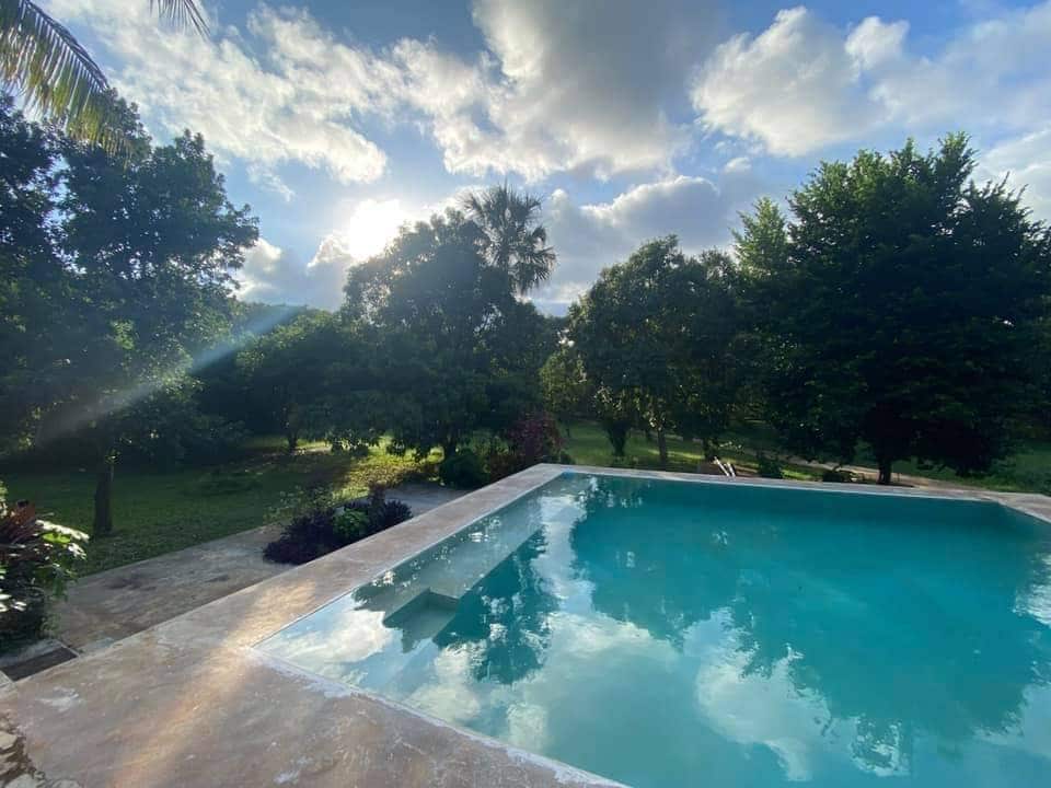 A serene scene is captured, featuring a clear turquoise pool surrounded by lush greenery. Sunlight filters through the trees, casting gentle shadows on the water's surface. The tranquil environment invites relaxation, with seating areas positioned to enjoy the view of the gardens.