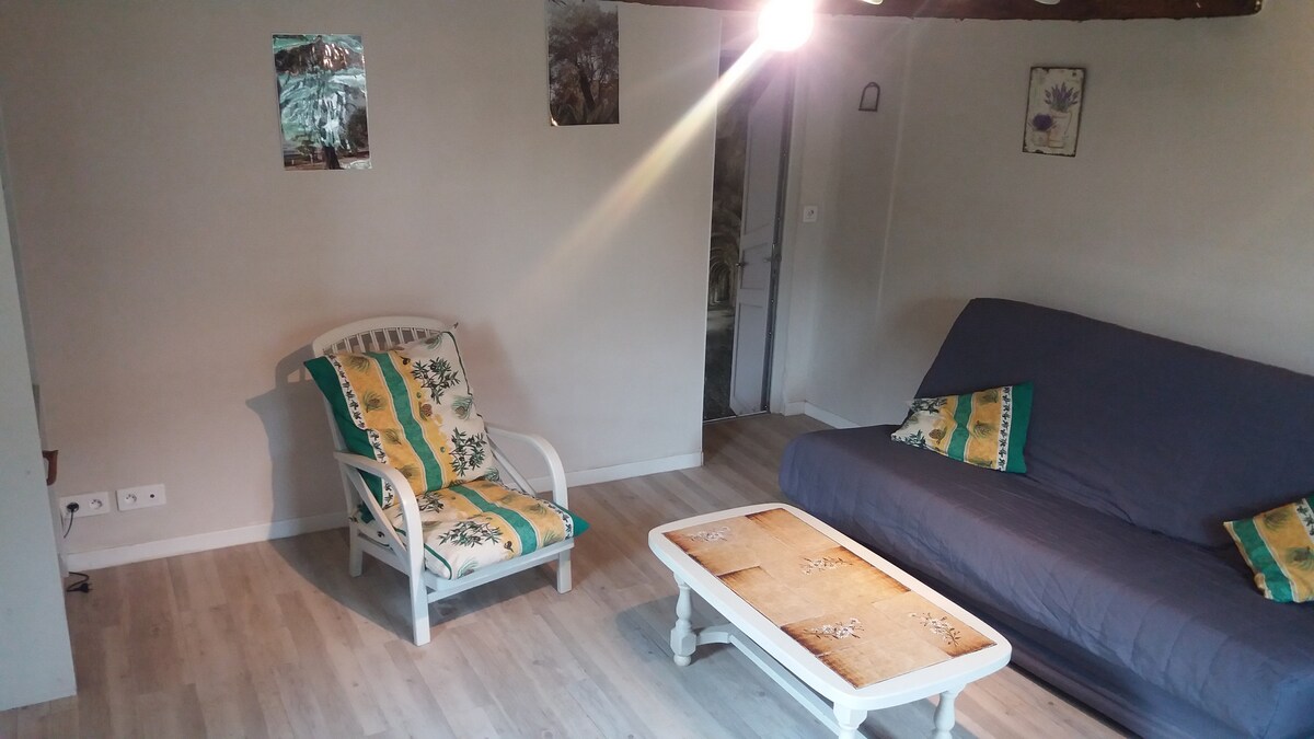 A living space is presented with light wooden flooring and pale walls. A comfortable sofa with a dark cover is positioned alongside a small coffee table. A light-colored armchair with a decorative cushion is also visible, and natural light enters through a nearby door.