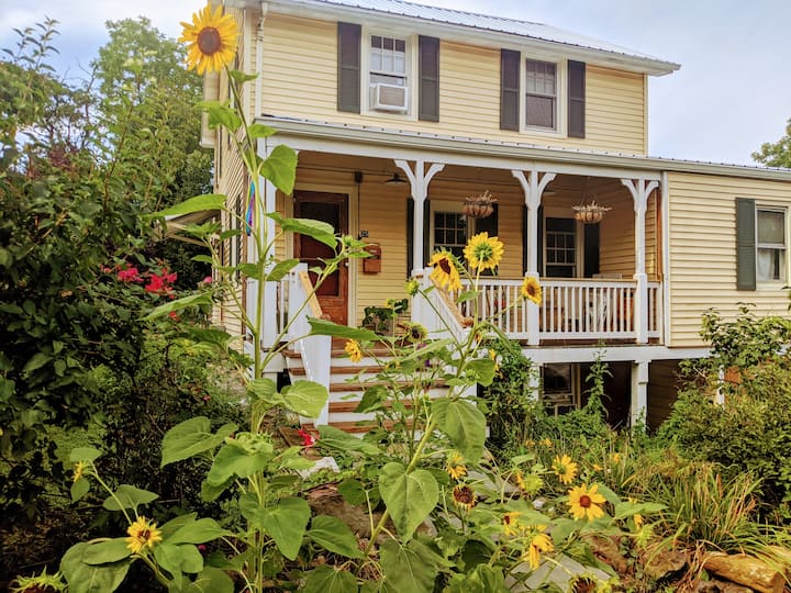 Beacon Vacation Rentals Airbnb