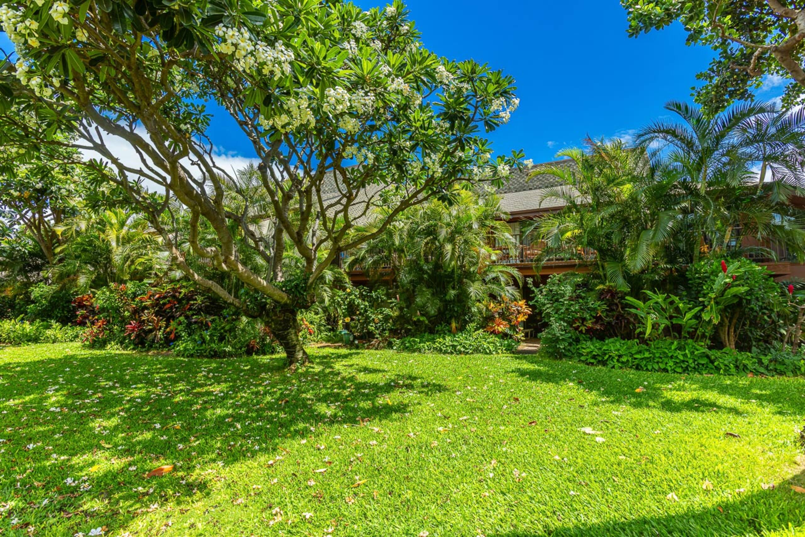 Condo in Kihei · ★4.42 · 2 bedrooms · 3 beds · 1 private bath - Image 17