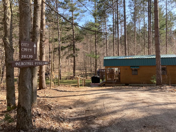 Peaceful Pines Tiny House