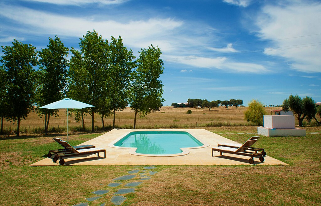 A spacious outdoor area features a clear salt-water pool surrounded by a smooth patio. Two lounge chairs are positioned under a large umbrella, providing shade. Lush greenery and vast golden fields can be seen in the distance, contributing to a serene environment.