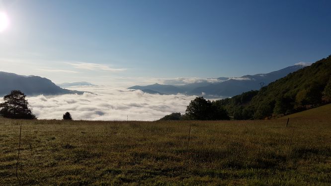 A vast landscape is displayed, featuring rolling hills bathed in early morning light. A blanket of fog rests in the valley below, while the distant mountains are visible, rising majestically against a clear blue sky. Vegetation is vibrant and lush, with trees dotting the scenery.