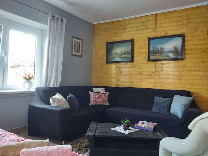 Ნაპალისაროკი