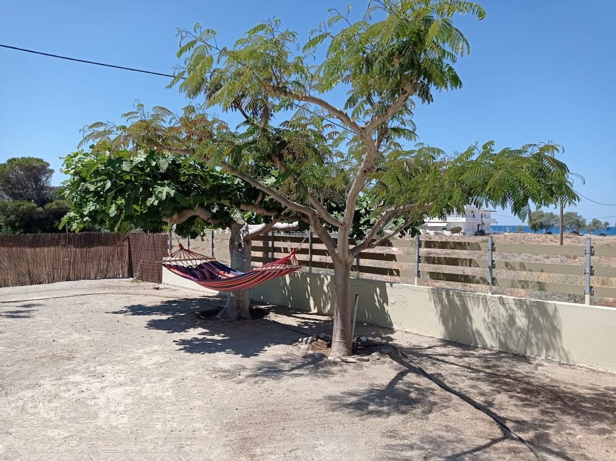 A shaded area features a colorful hammock suspended between two trees, providing a peaceful spot for relaxation. The sun-drenched yard includes a smooth ground surface and surrounding greenery, complementing a tranquil outdoor atmosphere. The landscape is enclosed by a wooden fence that enhances privacy.