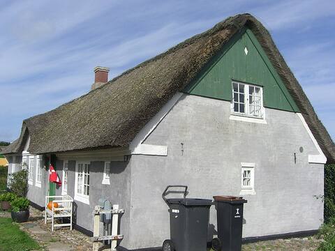 Cozy Fanø house for rent in Sønderho