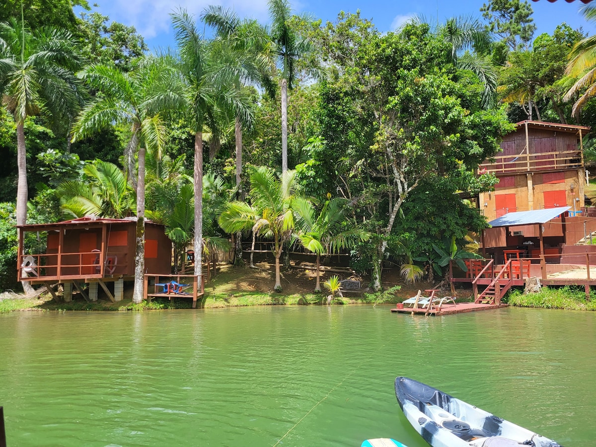 Two rustic cabins are set among lush greenery along the lakefront. Tall palm trees provide shade, while a wooden dock extends into the tranquil water. Kayaks rest nearby, ready for use in the serene environment, inviting guests to enjoy the natural landscape.