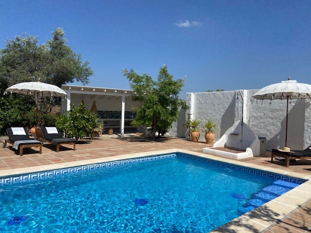 A refreshing swimming pool is surrounded by lush greenery and terracotta planters. Two sun loungers with umbrellas are positioned beside the pool, offering shaded relaxation. A well-appointed outdoor kitchen is visible in the background, along with a subtle architectural element that enhances the space.