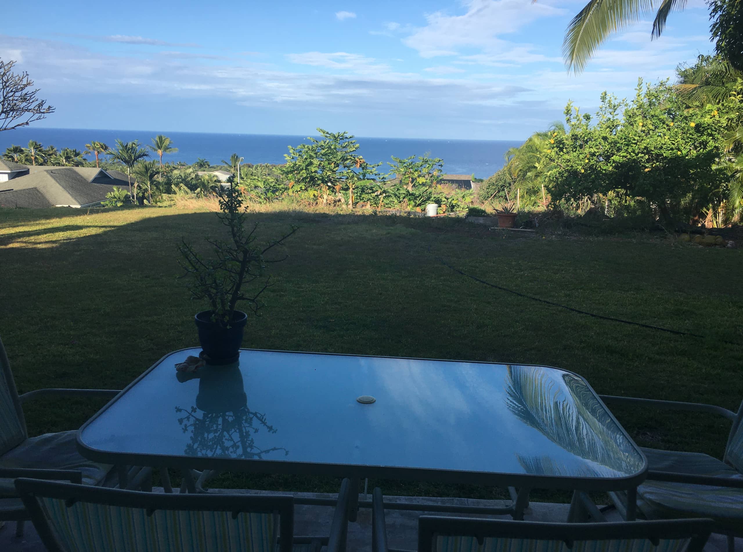 Cute Vacation Ohana - Image 8
