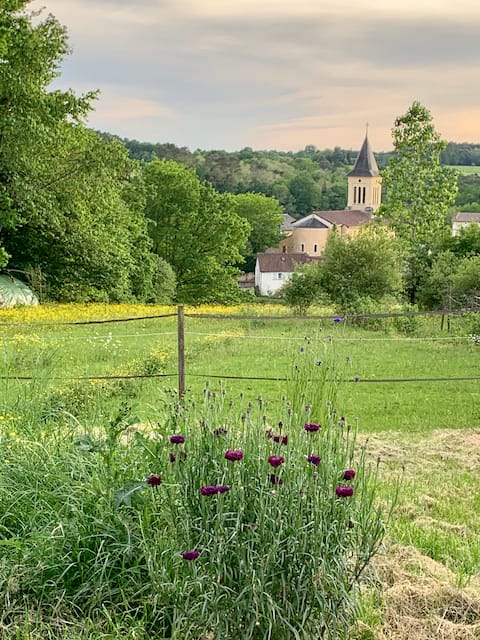 Green house in the heart of Périgord