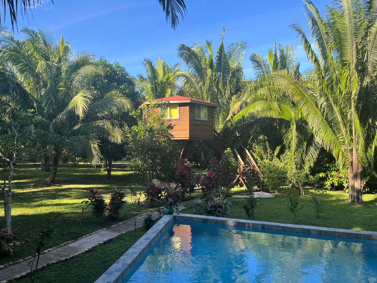 A wooden treehouse is nestled among palm trees in a lush garden setting, with vibrant green foliage surrounding a blue swimming pool. The clear sky overhead adds to the serene atmosphere, while pathways lead through the carefully landscaped area.