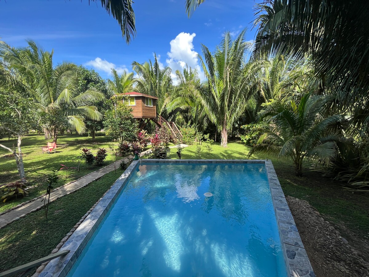 A refreshing swimming pool is bordered by lush greenery, with various palm and fruit trees surrounding the area. In the background, an elevated treehouse blends with the scenic garden, providing a tranquil setting under a clear blue sky.