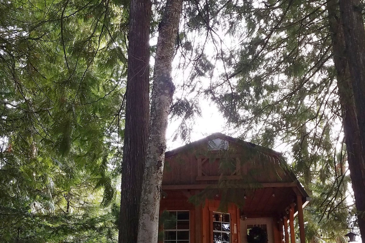 The cabin is nestled among tall cedar trees, with its wooden exterior partially visible. A covered porch with a welcoming entrance is framed by nature, creating a tranquil setting that emphasizes the surrounding greenery.
