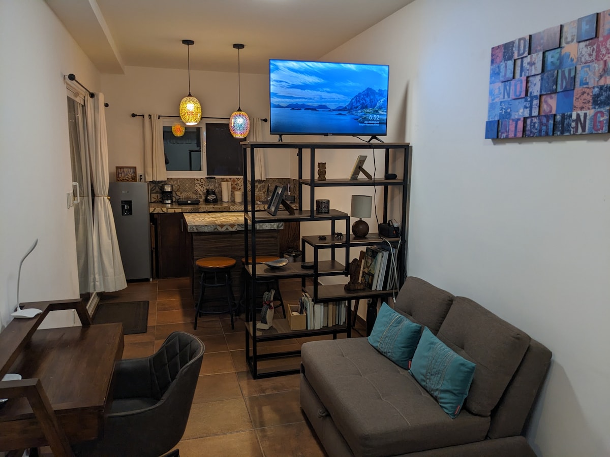 The living area features a cozy sofa bed accompanied by decorative cushions. A wooden desk is positioned nearby. A shelving unit displays decorative items, while a mounted TV overlooks a compact kitchen area with modern appliances.