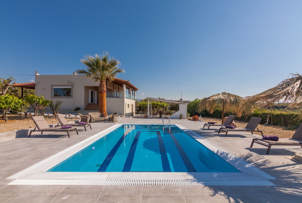 An inviting outdoor area features a crystal-clear swimming pool surrounded by sunbeds and umbrellas. The villa is situated nearby, with lush greenery and some palm trees in view under a clear blue sky.