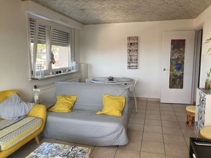 Au 7 èMe Ciel Appartement F3 - Ibis Budget Sarrebourg Buhl