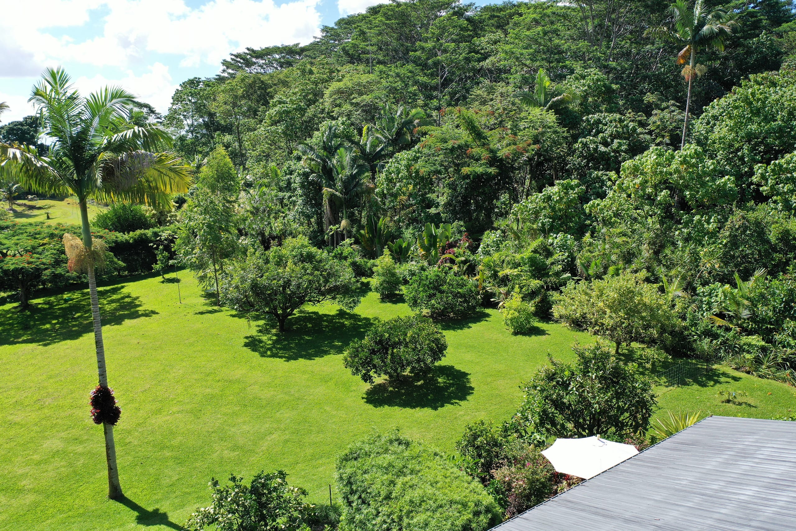 Guesthouse in Keaau · ★4.98 · 1 bedroom · 2 beds · 1 private bath - Image 19