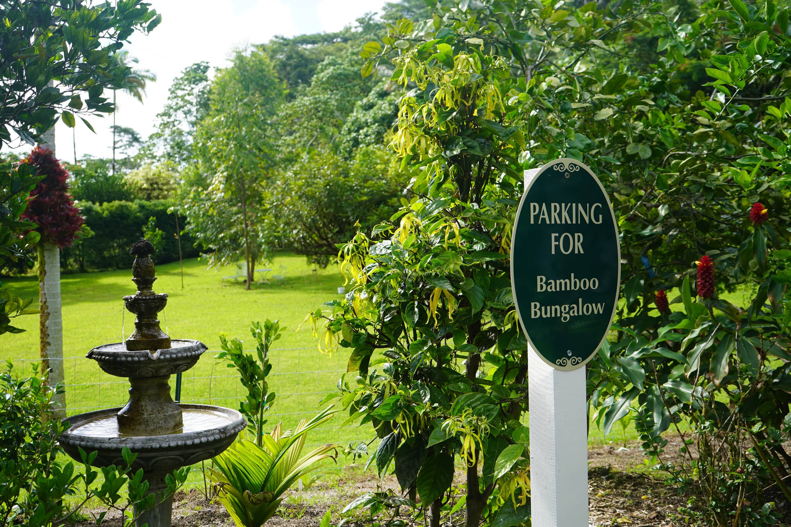 Guesthouse in Keaau · ★4.98 · 1 bedroom · 2 beds · 1 private bath - Image 32