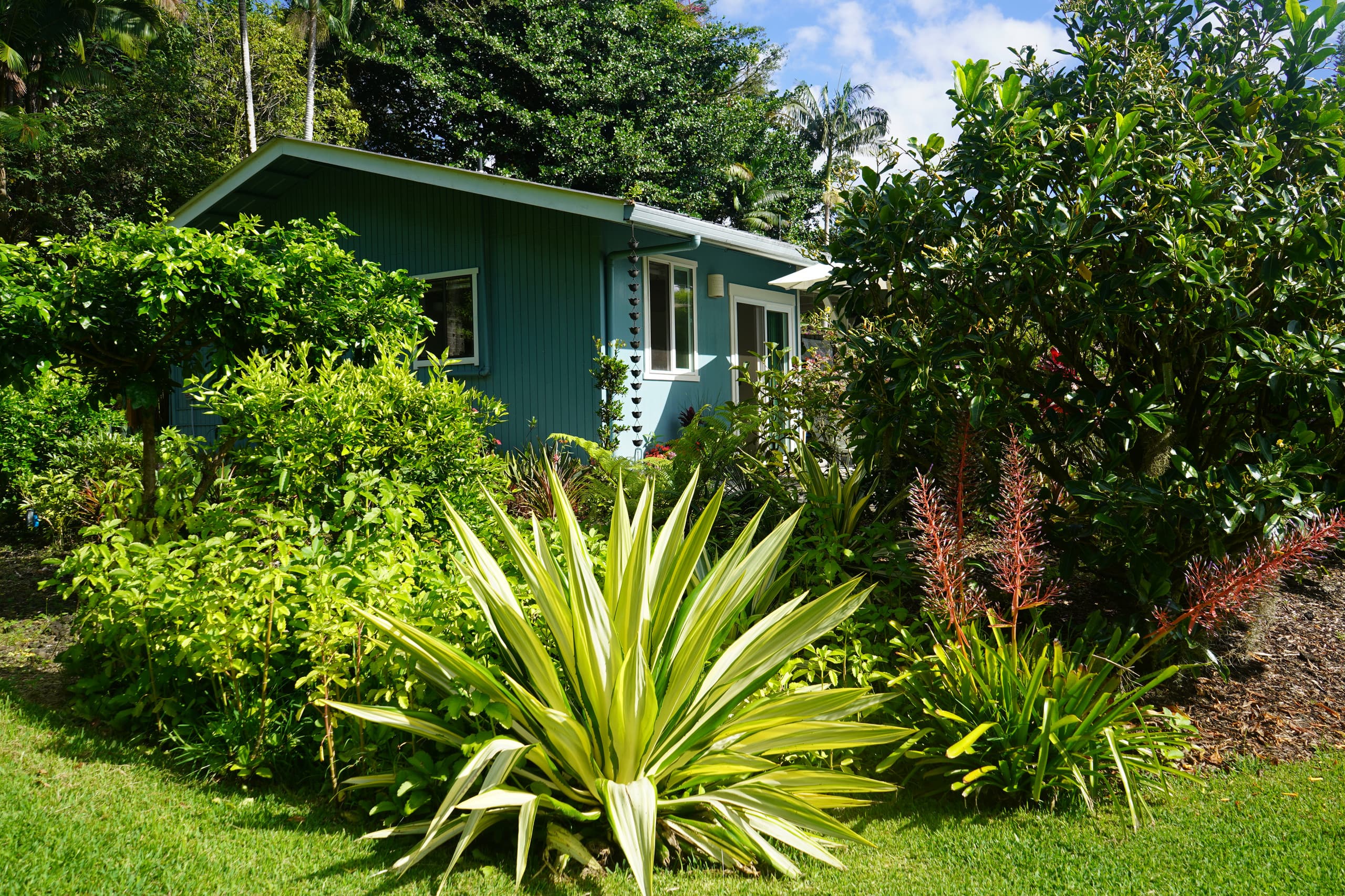 Guesthouse in Keaau · ★4.98 · 1 bedroom · 2 beds · 1 private bath - Image 30