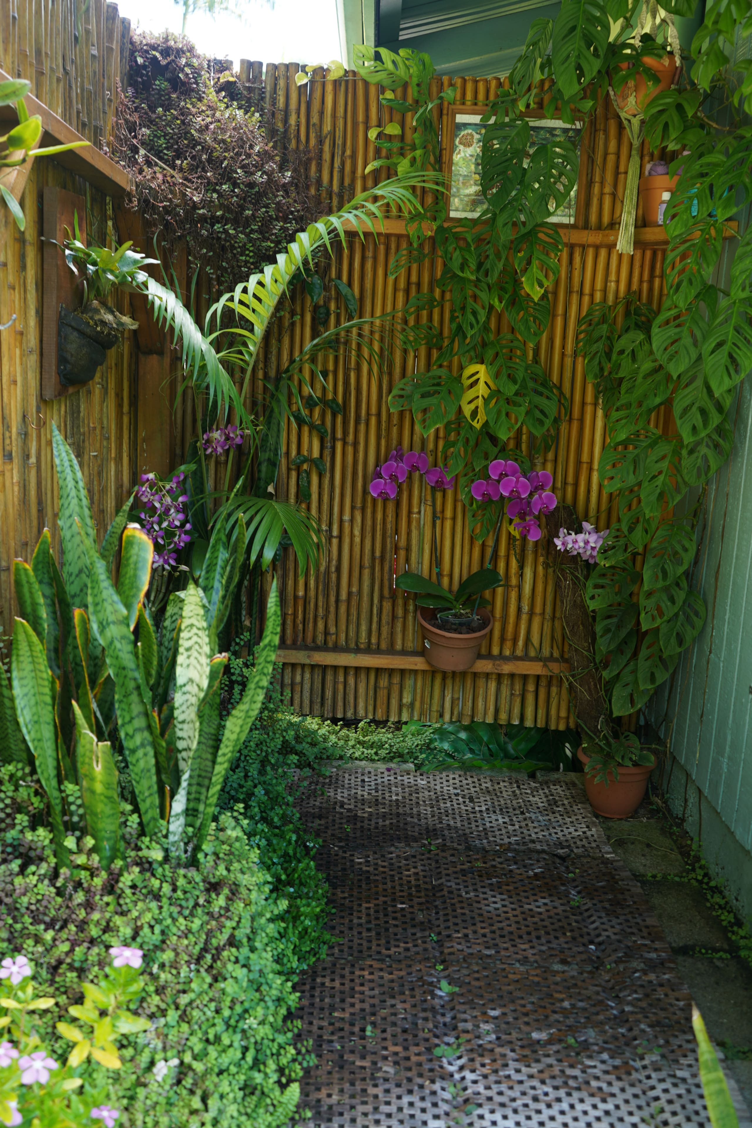 Guesthouse in Keaau · ★4.98 · 1 bedroom · 2 beds · 1 private bath - Image 17