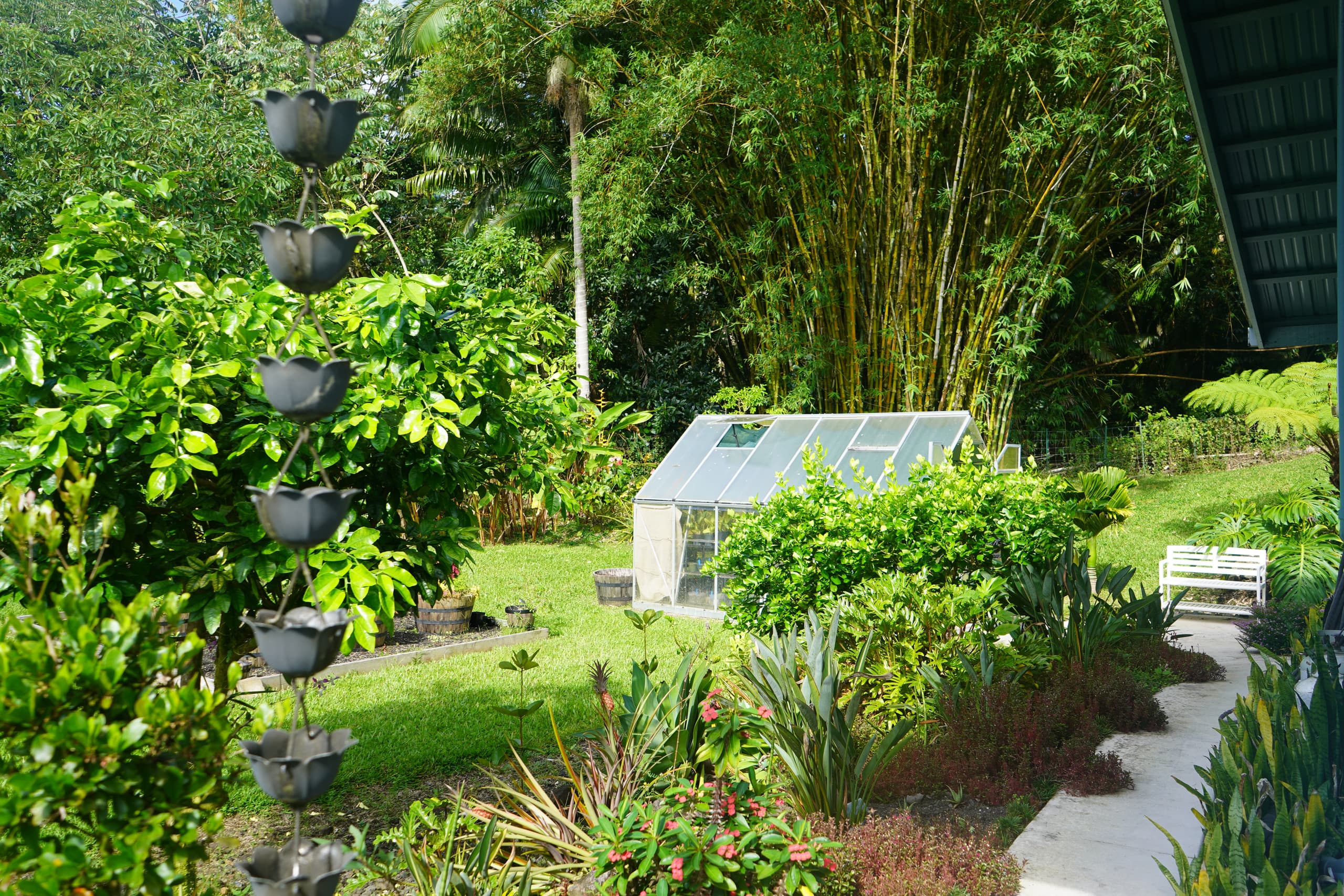 Guesthouse in Keaau · ★4.98 · 1 bedroom · 2 beds · 1 private bath - Image 15