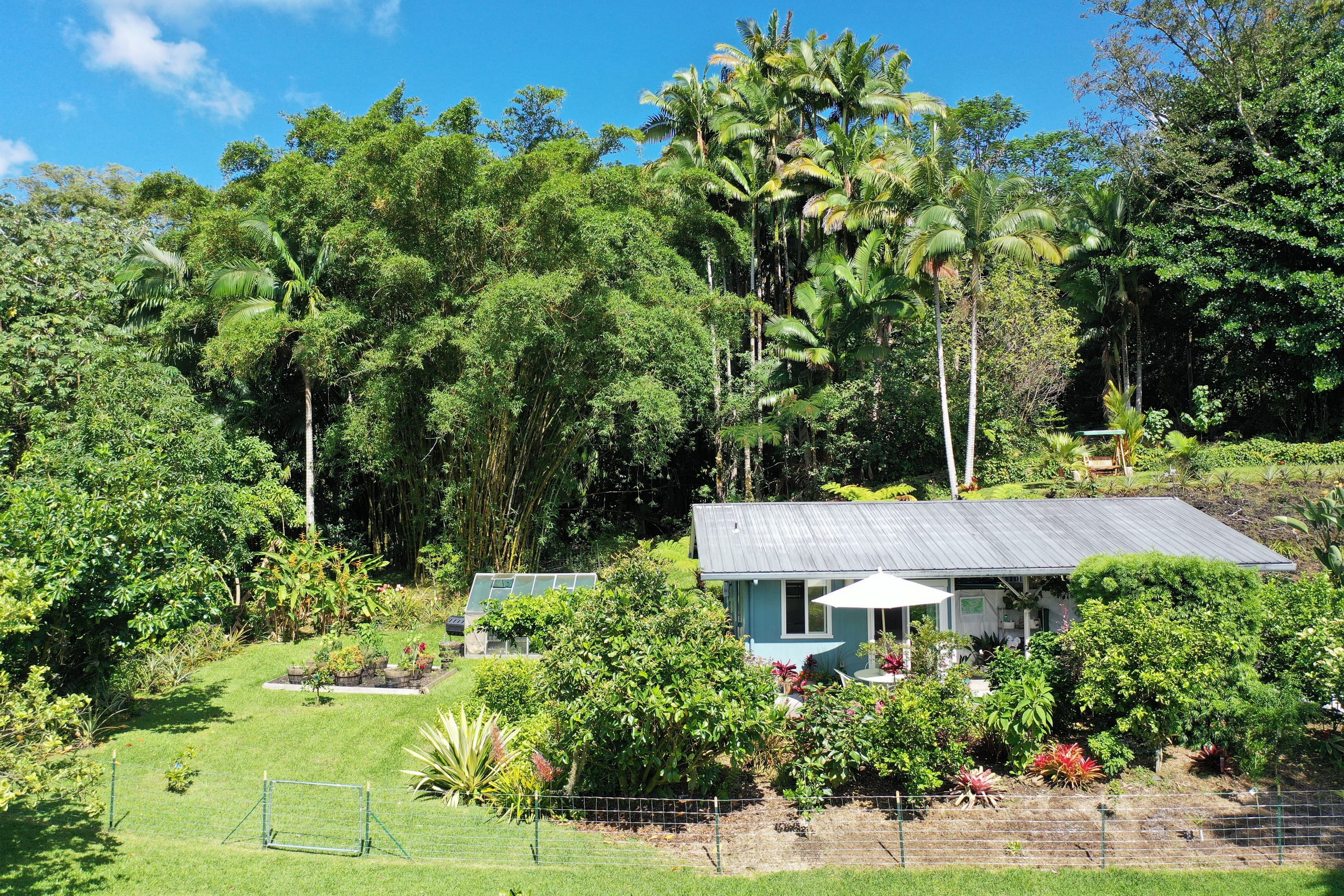 Guesthouse in Keaau · ★4.98 · 1 bedroom · 2 beds · 1 private bath - Image 31