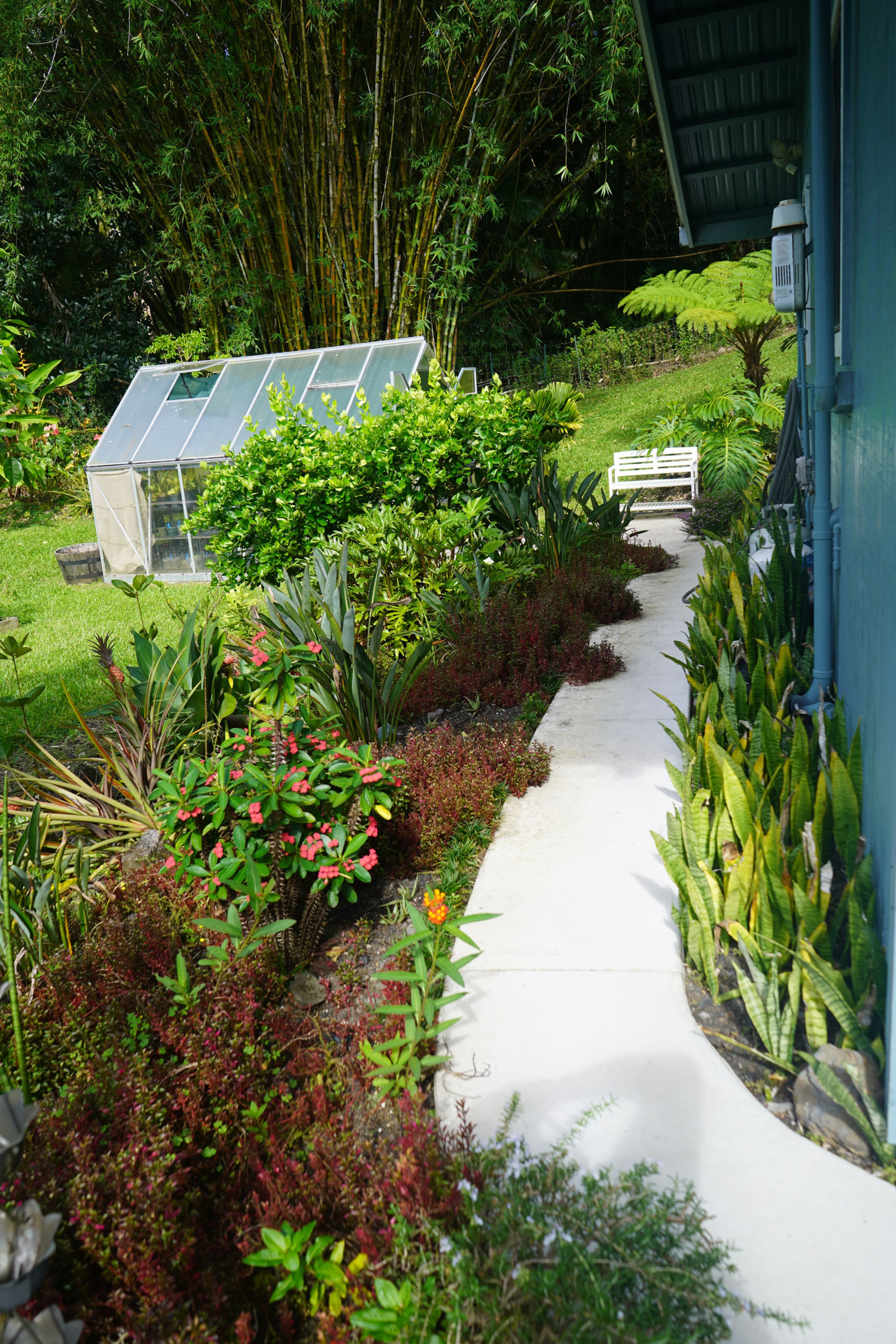Guesthouse in Keaau · ★4.98 · 1 bedroom · 2 beds · 1 private bath - Image 14