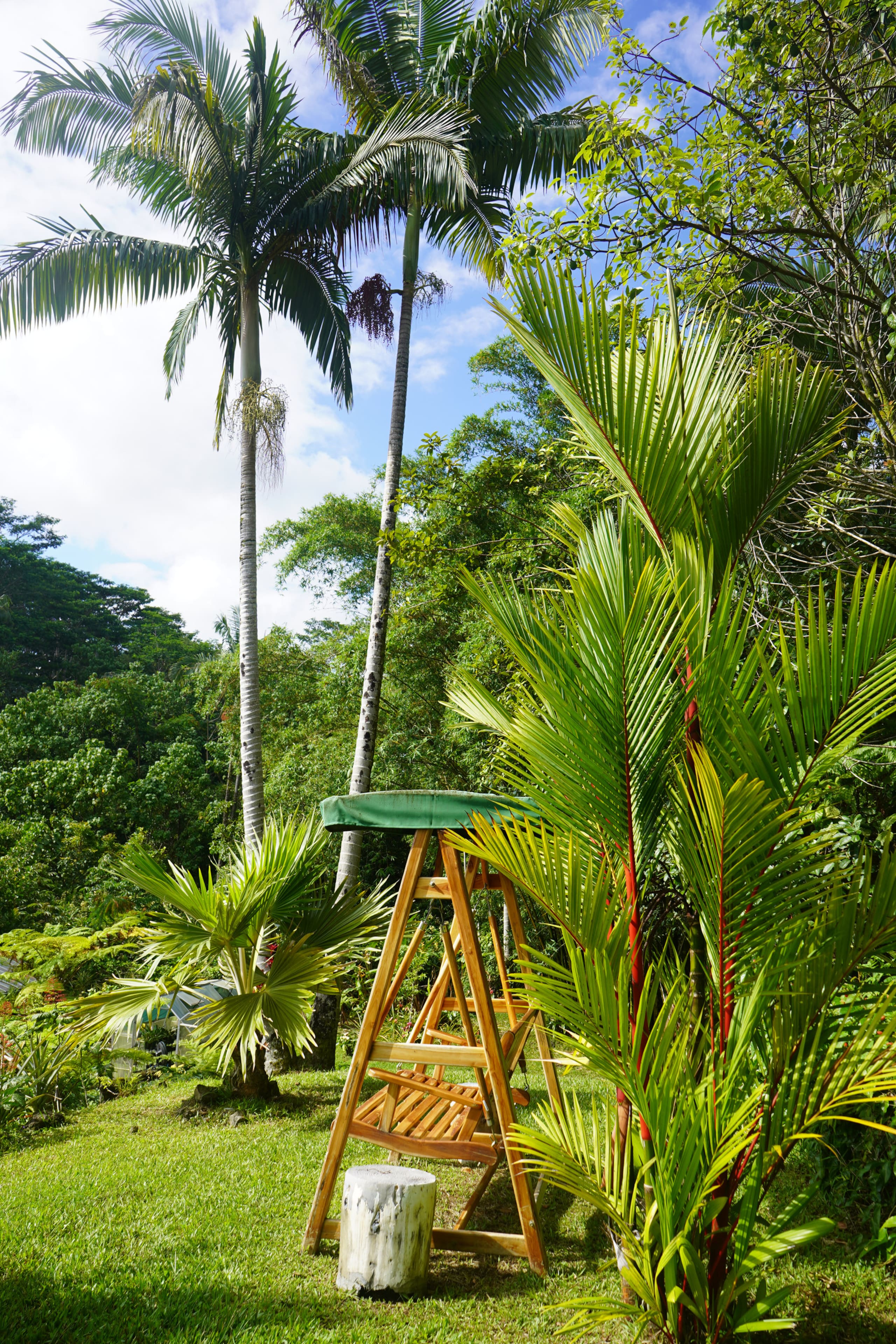 Guesthouse in Keaau · ★4.98 · 1 bedroom · 2 beds · 1 private bath - Image 18
