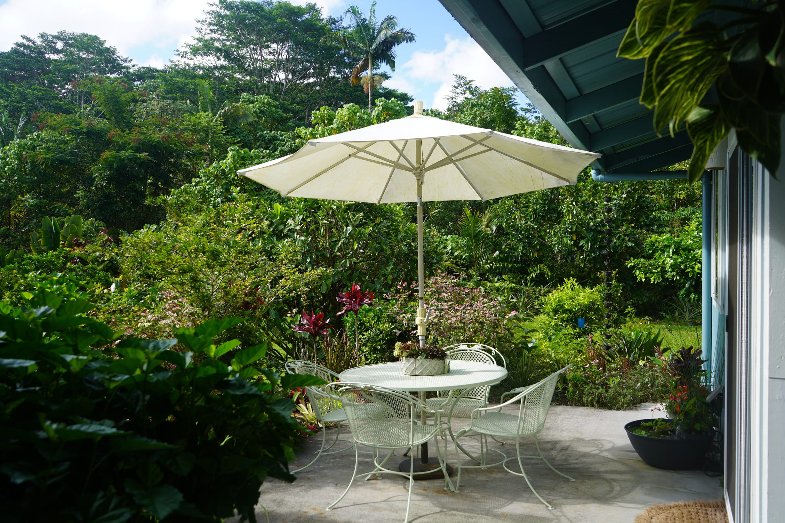 Guesthouse in Keaau · ★4.98 · 1 bedroom · 2 beds · 1 private bath - Image 25