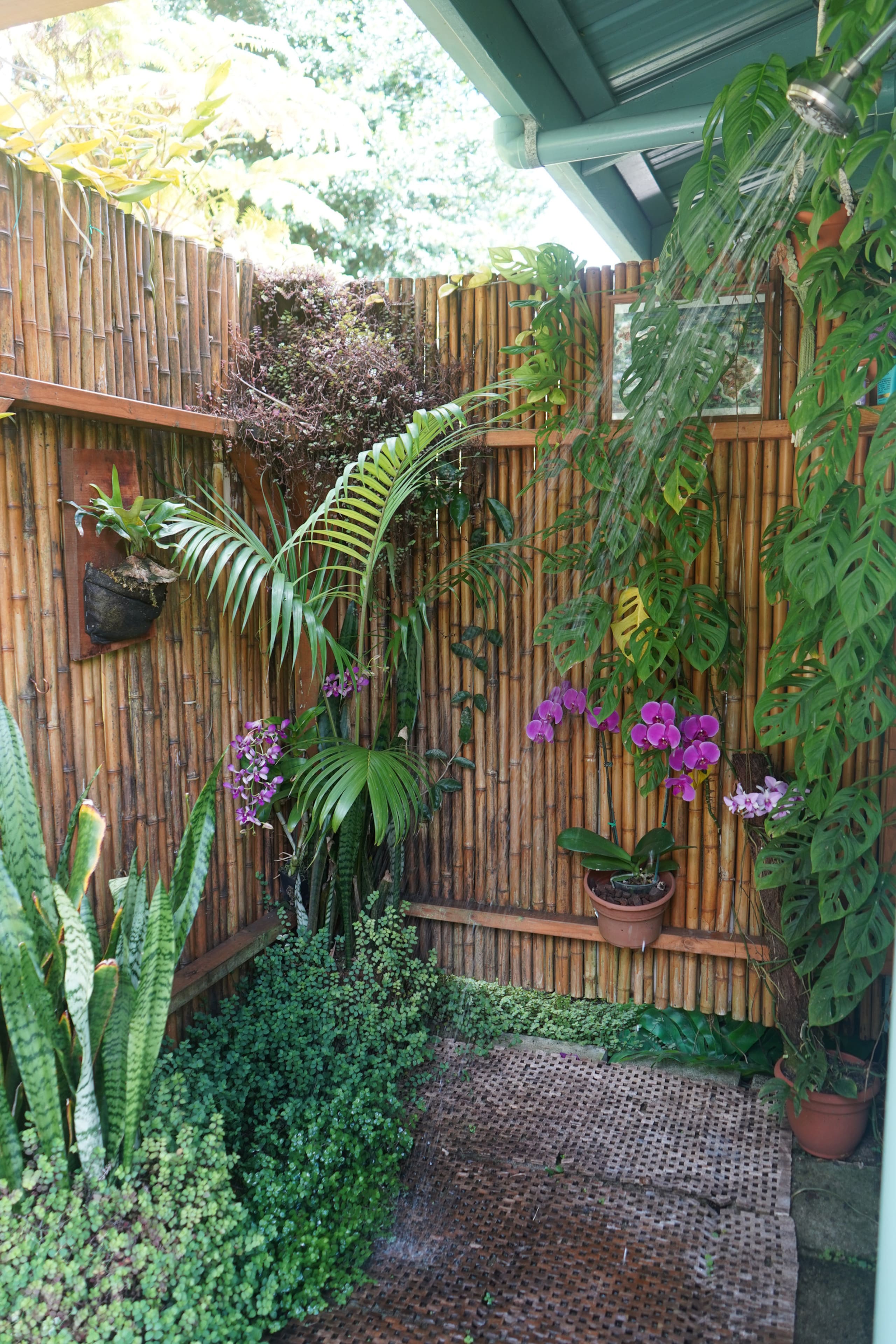 Guesthouse in Keaau · ★4.98 · 1 bedroom · 2 beds · 1 private bath - Image 16