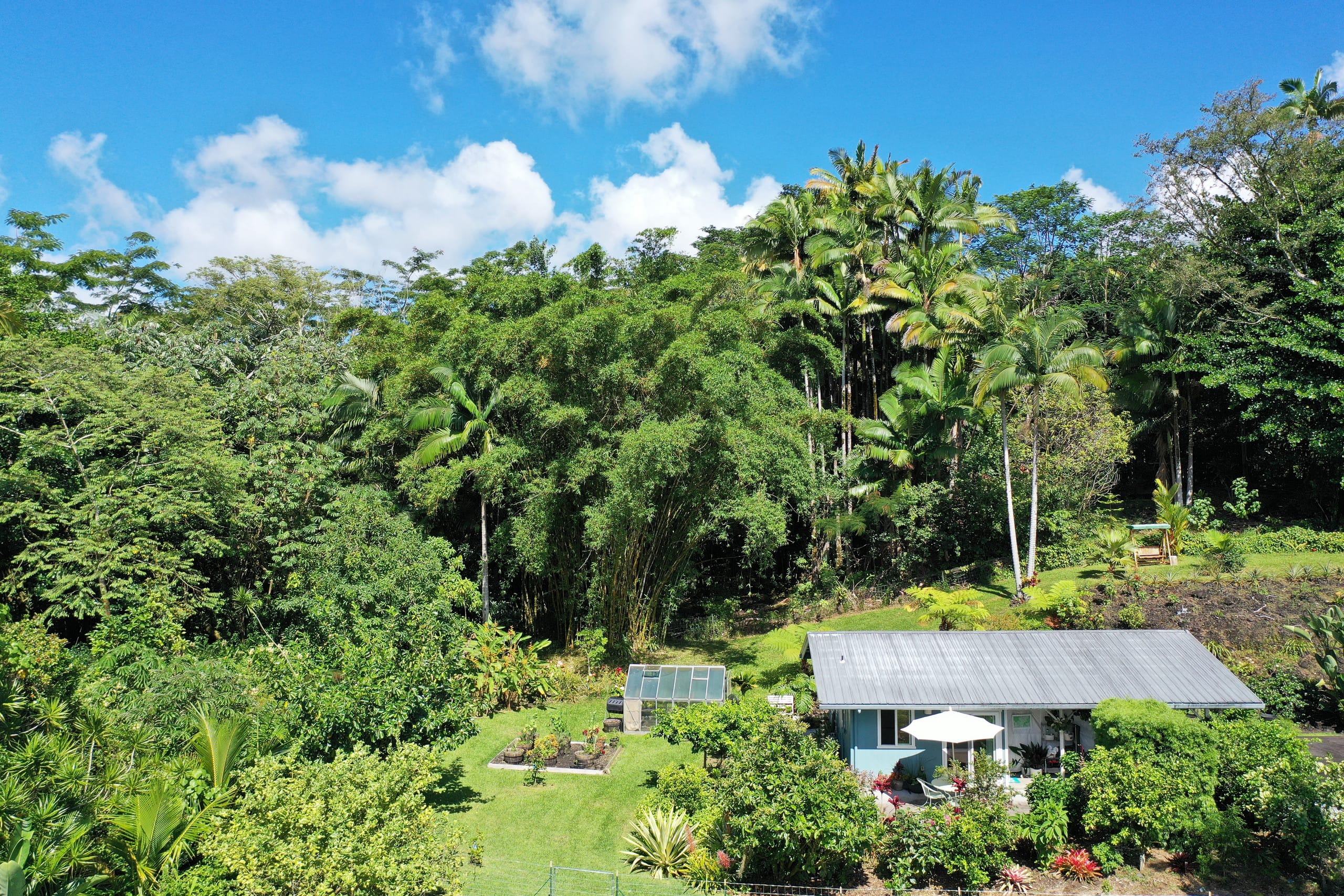 Guesthouse in Keaau · ★4.98 · 1 bedroom · 2 beds · 1 private bath - Image 20