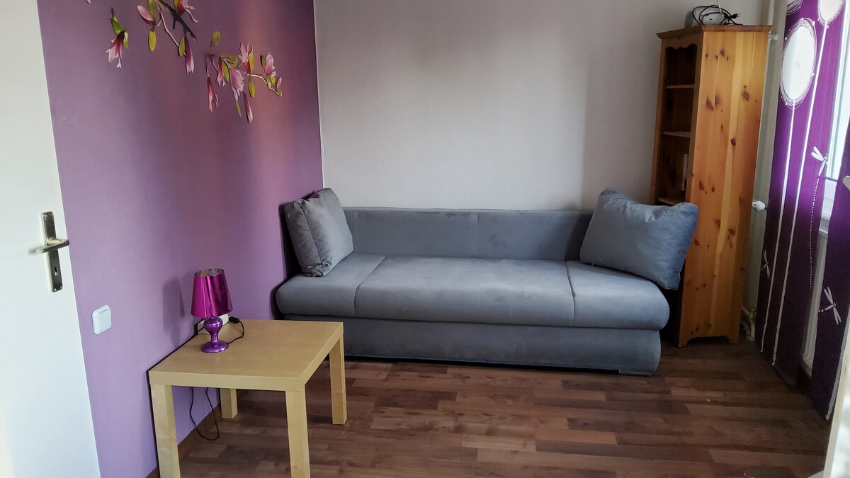 Дневна соба со кауч на спуштање 1,40м x 2,00 м(пролетен душек).
Може да се користи како единечна соба или двоен кревет.
Нема биро!