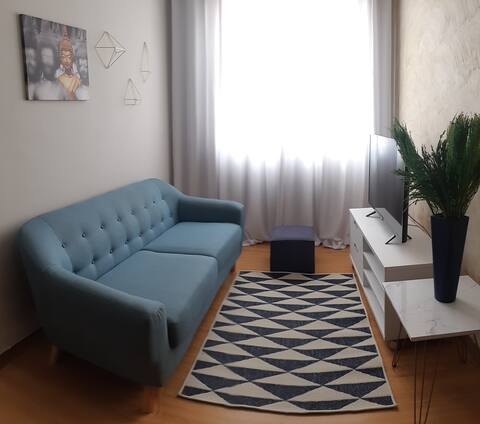 Apt. in the Center near the University and Shopping