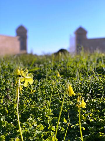 Villa con piscina – Podere Corda di Lana gallery image 5