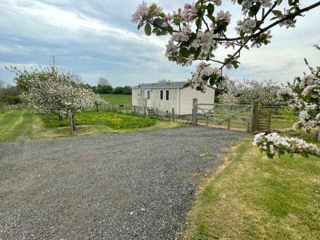 A gravel driveway leads to a light-colored lodge surrounded by blooming trees, creating a serene country setting. The entrance is framed by green grass and a well-maintained fence, offering a welcoming view of the tranquil grounds.