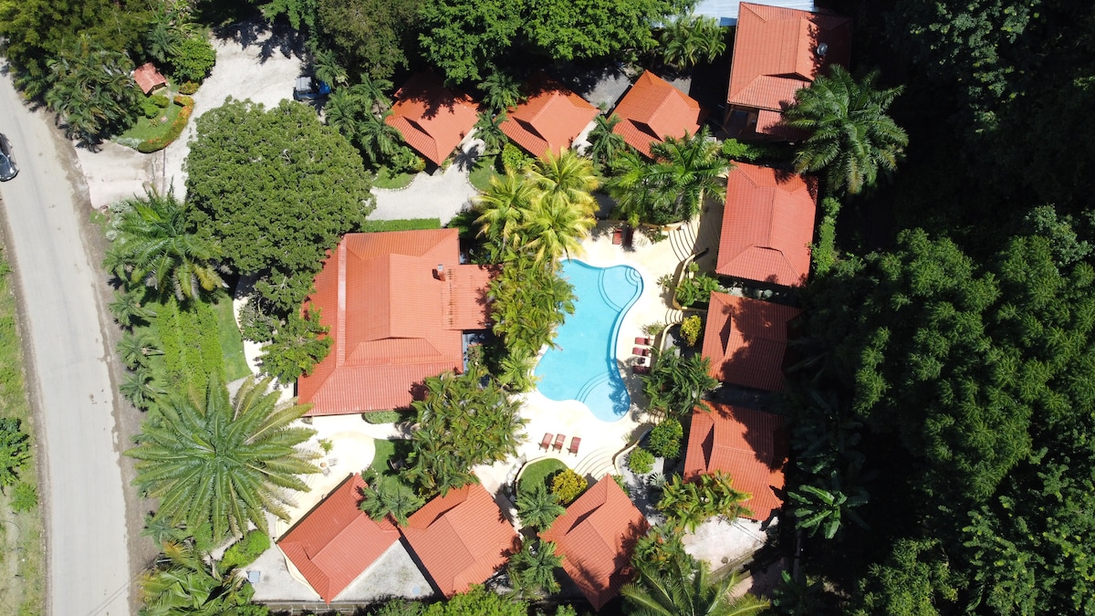 An aerial view captures a lush tropical setting featuring ten bungalows with red roofs surrounding a blue swimming pool. Palm trees and tropical plants enhance the vibrant landscape, while a winding path leads towards the main road, suggesting easy access to the surrounding area.