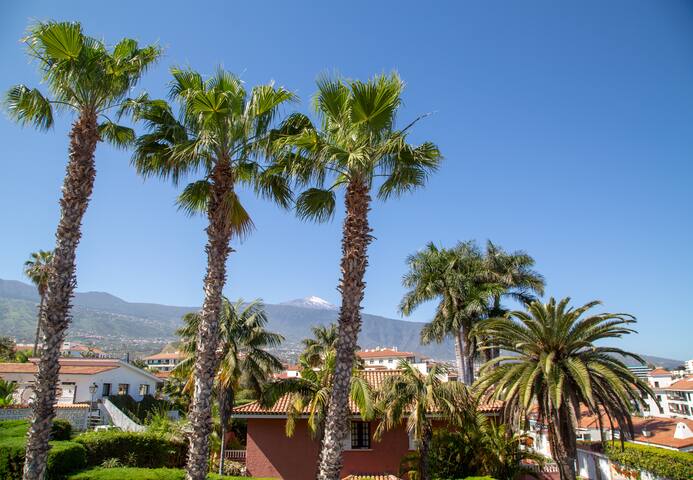 Estudios Turísticos Pto De La Cruz managed Airbnb listing 2