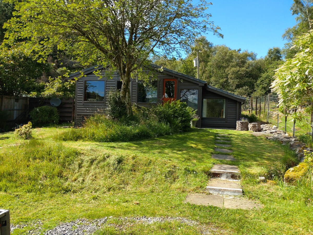 A modern lodge is nestled among lush greenery, with a well-kept lawn and a stone pathway leading to the entrance. Large windows and a charming red door enhance the inviting appearance of the dwelling. The surrounding trees provide shade and a sense of tranquility.