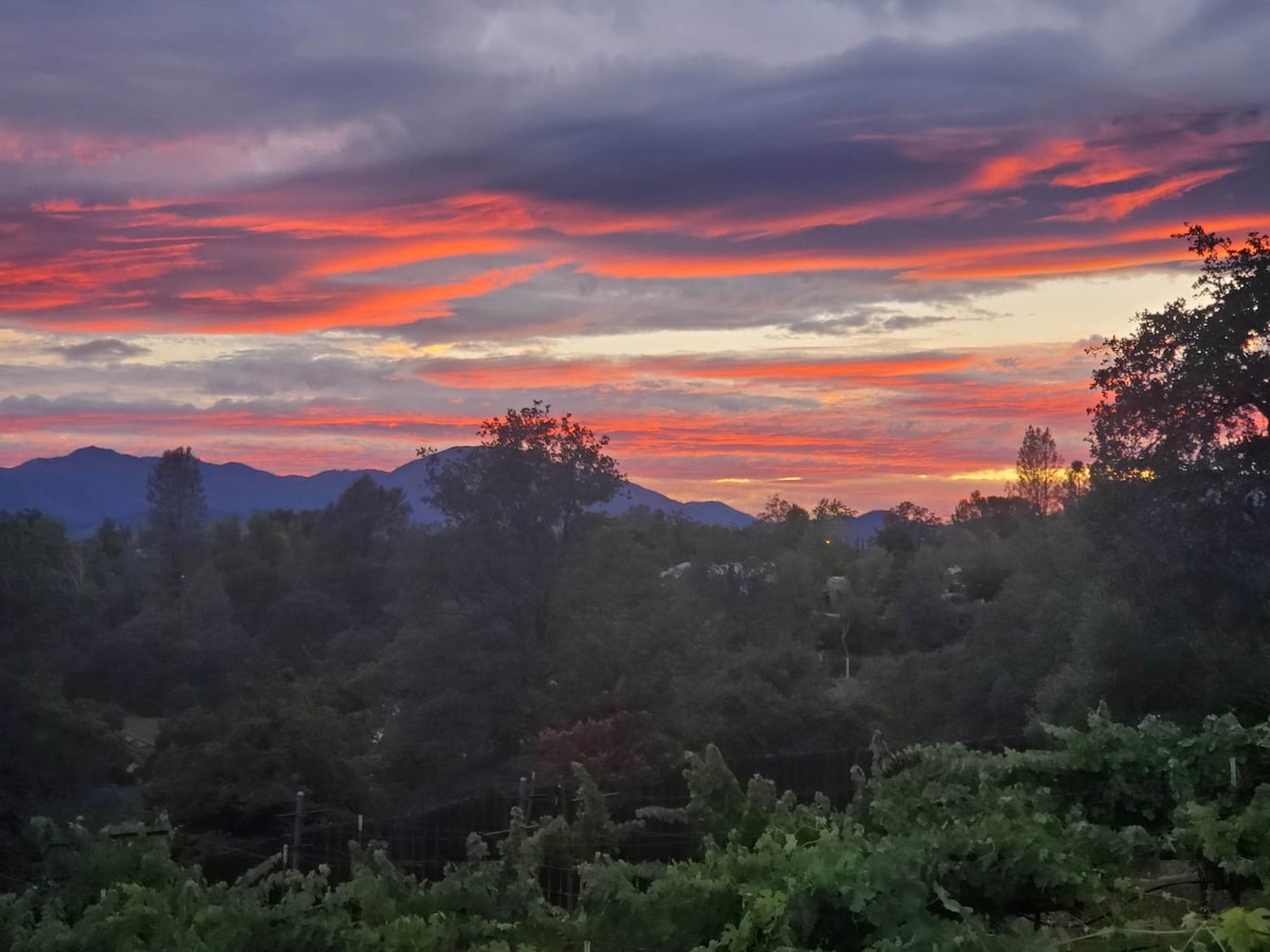 A vibrant sunset stretches across the sky, blending shades of orange, pink, and purple. The silhouetted outline of distant mountains is visible among a landscape dotted with trees and greenery, creating a serene backdrop.