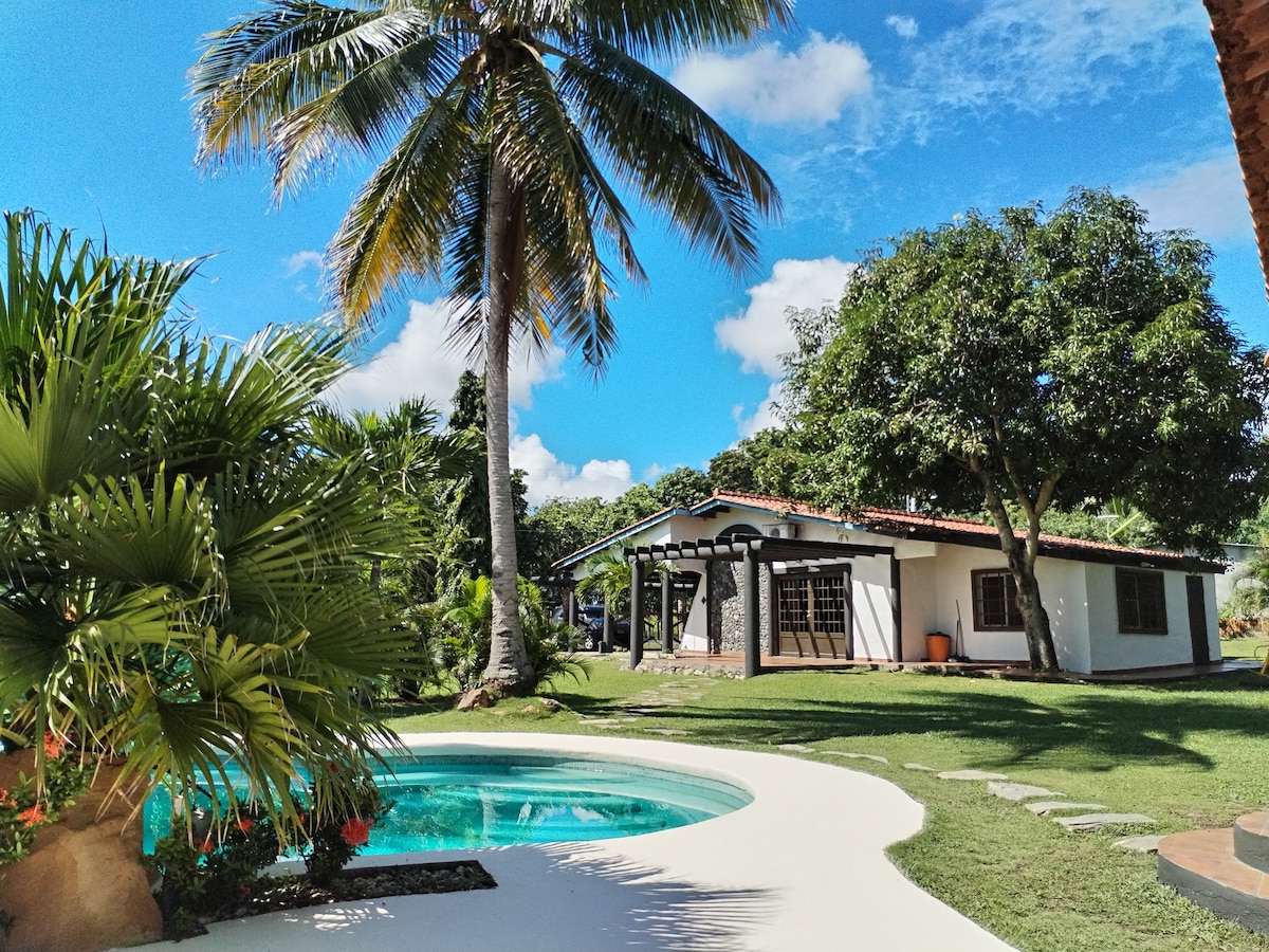 A charming villa is set amidst lush greenery, featuring a swimming pool surrounded by vibrant plants. Tall palm trees gently sway in the breeze under a clear blue sky, while the house boasts a welcoming facade with large windows and a well-maintained lawn.