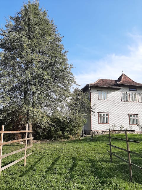 Rivr House Bucovina