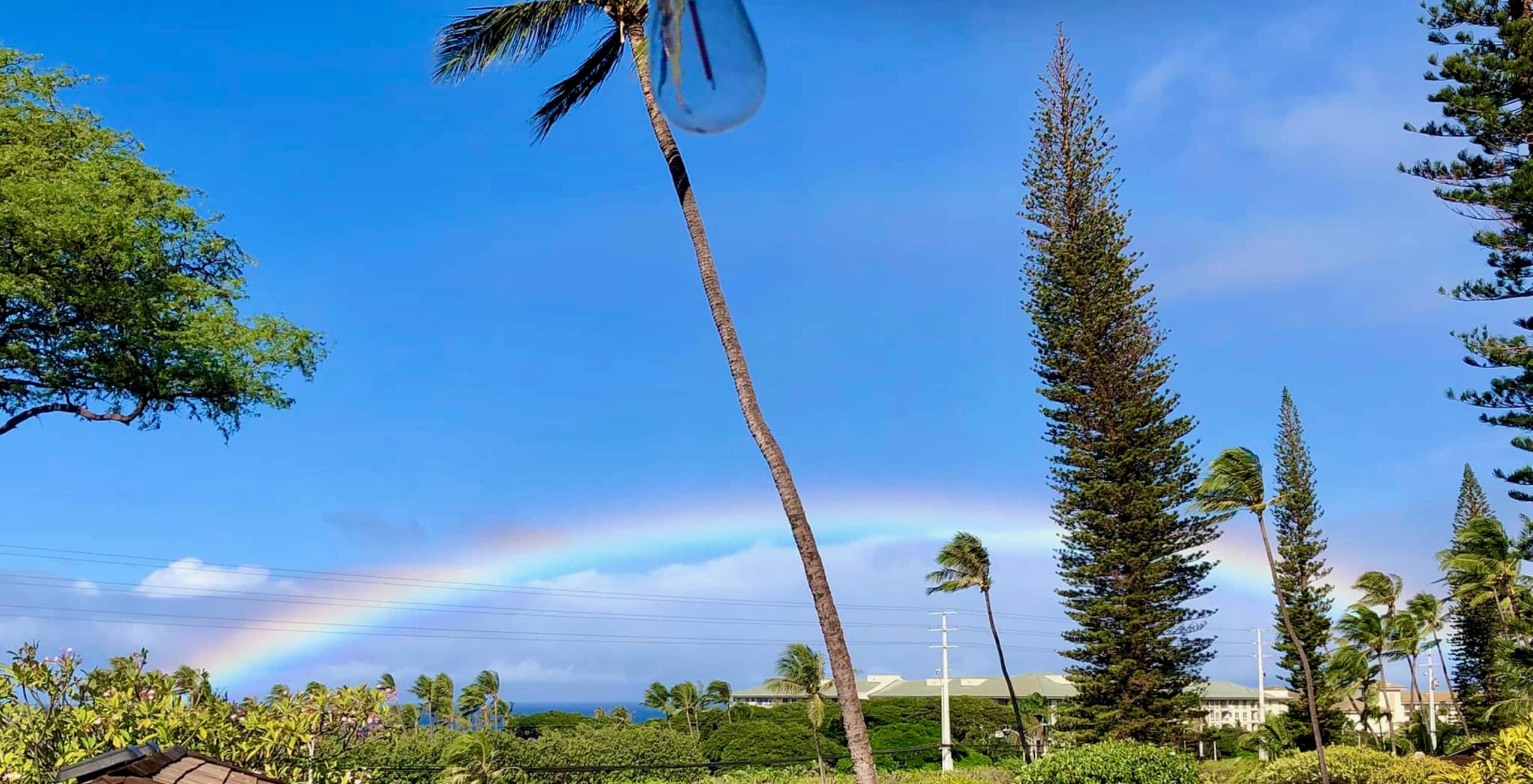Charming Kaanapali cottage with ocean view - Image 7