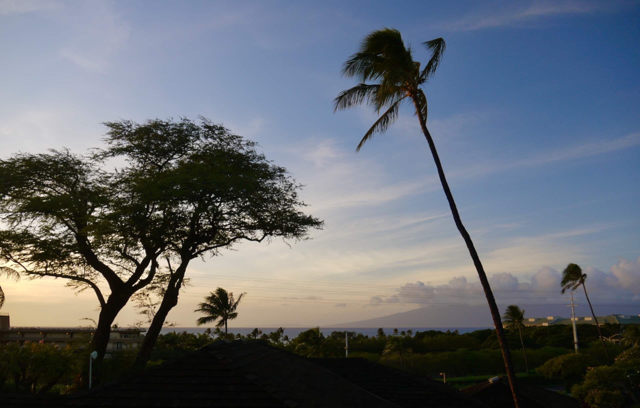 Charming Kaanapali cottage with ocean view - Image 8